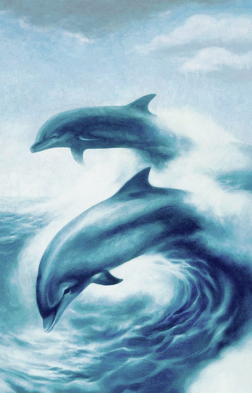 dolphins wave