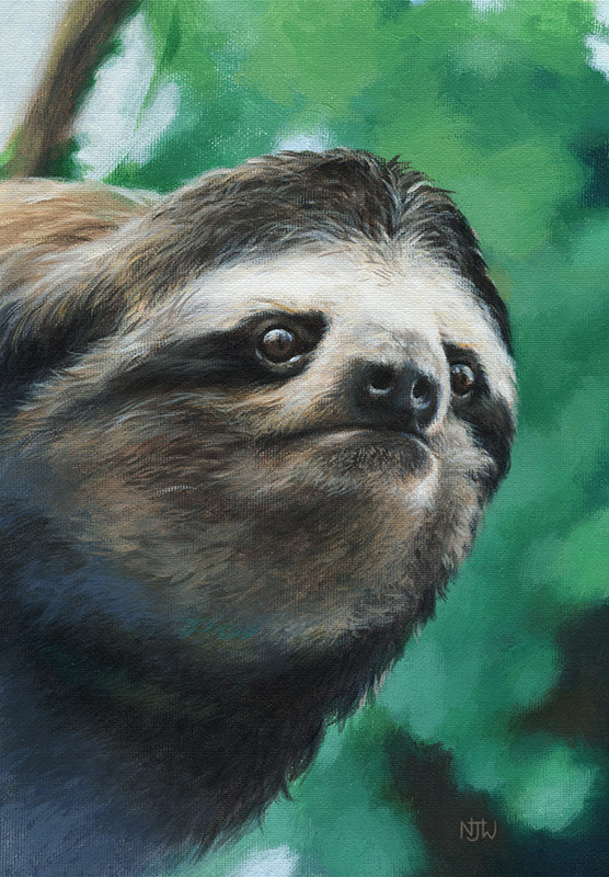 sloth 2